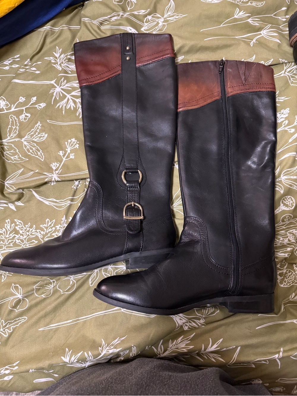 Alex Marie Black Riding Boots with Brown Cuff and Buckle